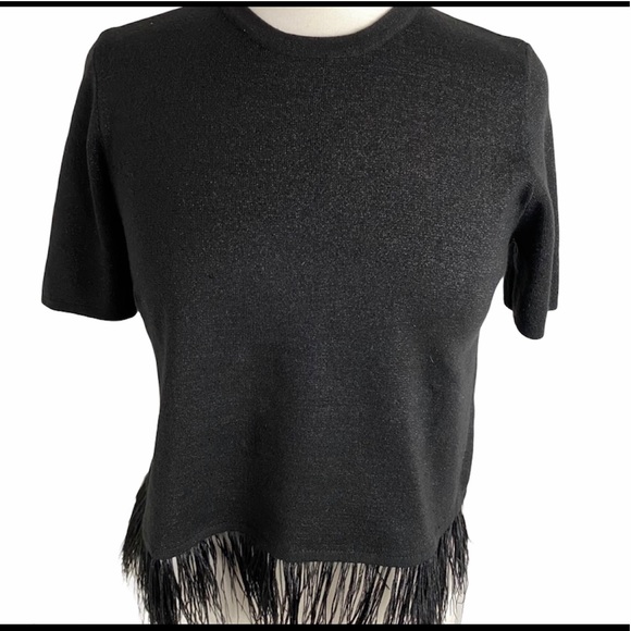 Zara Tops - Zara knit black feather blouse